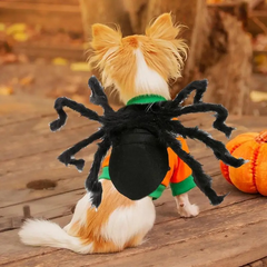 Eight-Legged Furry Costume