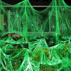 Glow-in-the-Dark Spider Lair