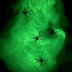 Glow-in-the-Dark Spider Lair